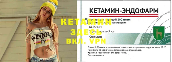 СК Волоколамск