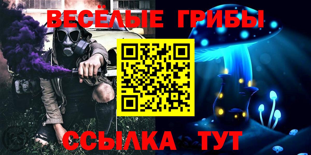 Галлюциногенные грибы Psilocybine cubensis Ялта