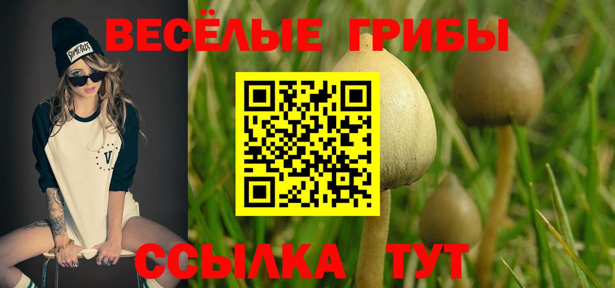 Псилоцибиновые грибы мицелий  Вход с VPN  Ялта 